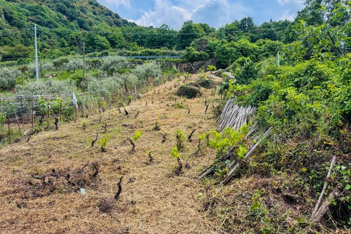 Image No.24-Maison à vendre à Mistretta
