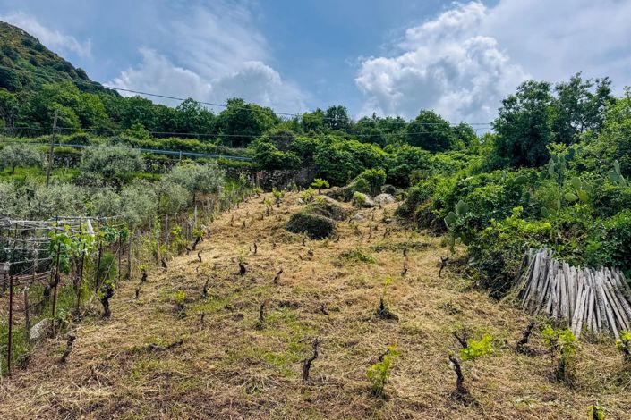 Image No.25-Maison à vendre à Mistretta