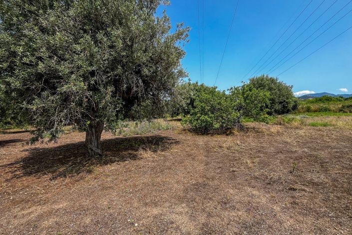 Image No.22-1 Bed House for sale