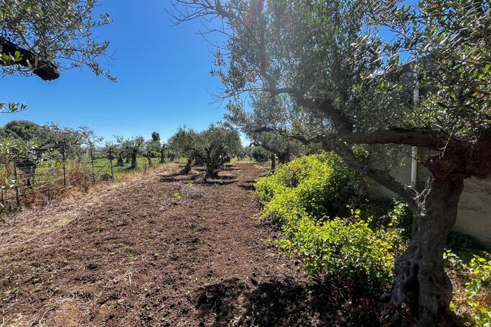 Image No.10-Appartement de 1 chambre à vendre à Castelvetrano