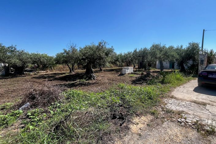 Image No.2-Appartement de 1 chambre à vendre à Castelvetrano