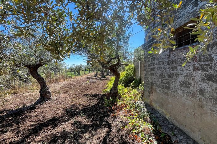 Image No.4-Appartement de 1 chambre à vendre à Castelvetrano