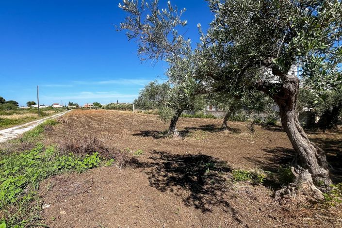 Image No.6-Appartement de 1 chambre à vendre à Castelvetrano