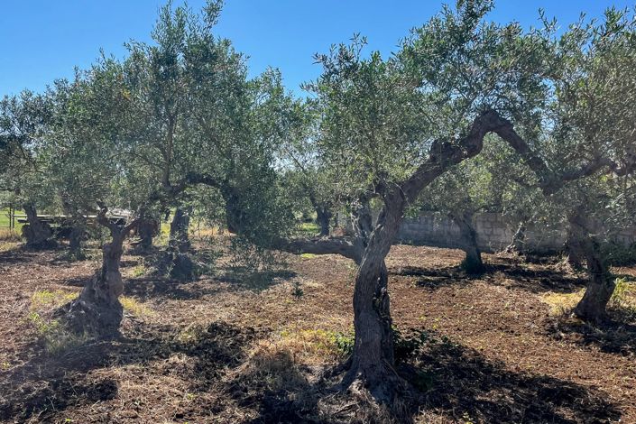 Image No.9-Appartement de 1 chambre à vendre à Castelvetrano