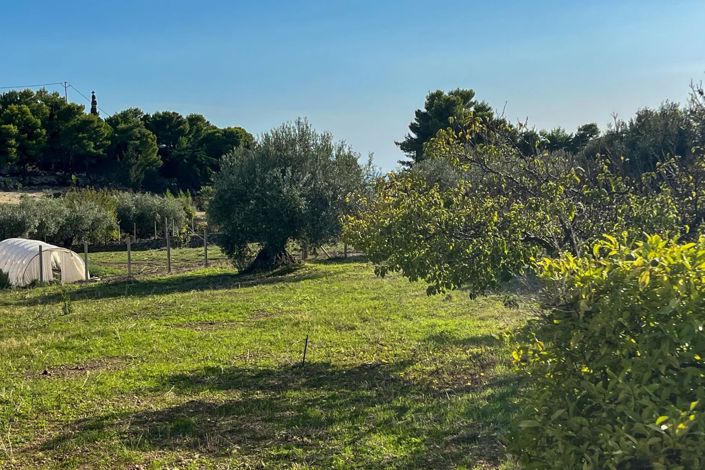 Image No.24-Appartement de 3 chambres à vendre à Palma di Montechiaro