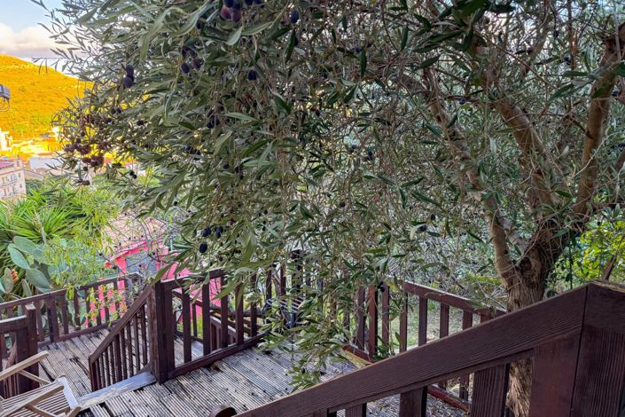 Image No.22-3 Bed House for sale