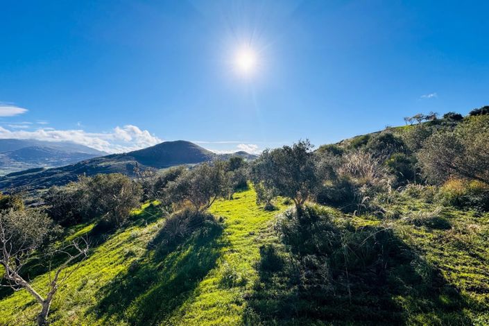 Image No.25-1 Bed House for sale