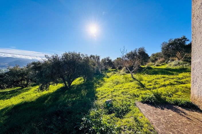 Image No.26-1 Bed House for sale