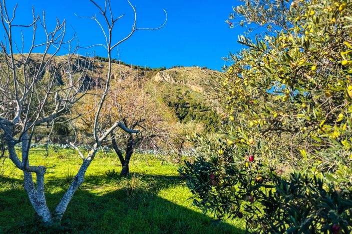 Image No.28-1 Bed House for sale