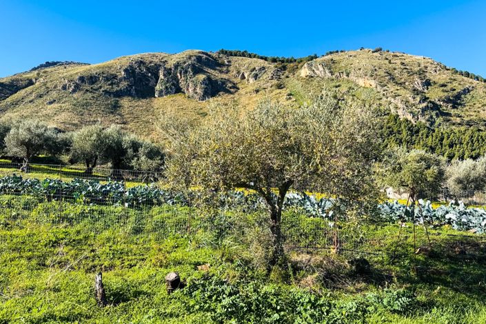 Image No.29-1 Bed House for sale