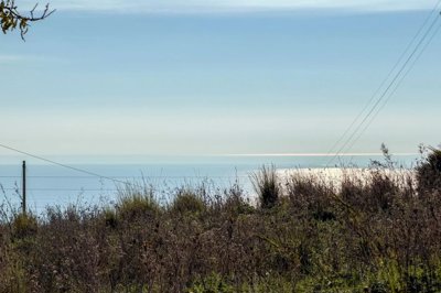 f28b20ffeb5266d7742ad4393201a58cfbb334c009204