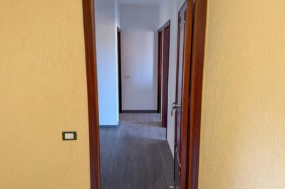 fb9b319575b51c1fee03a4598239b60f2f78ccec5f204