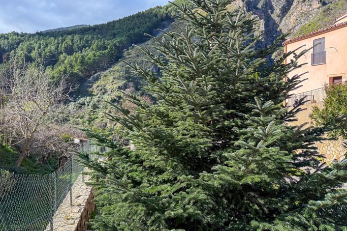 Image No.29-3 Bed House for sale