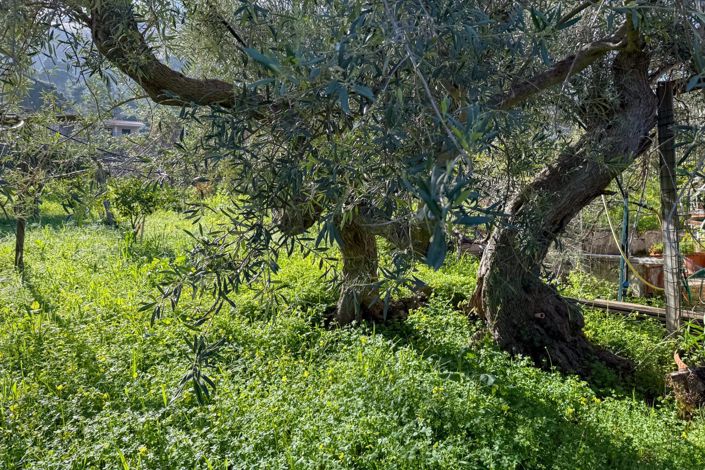 Image No.28-2 Bed House for sale