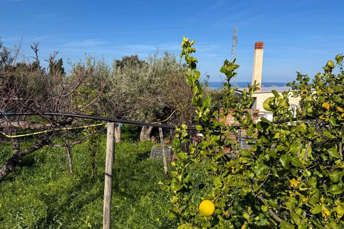 Image No.4-2 Bed House for sale