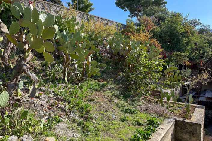 Image No.29-Maison à vendre à Gratteri