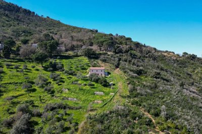 7f1067c257de245caeda23636831bf13166f3b9b95204