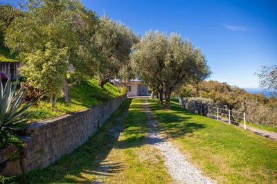 23280ac7d4d32736d8efe8d0344c97e6ee6c4b77d6409