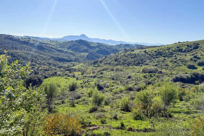 Image No.4-Land for sale