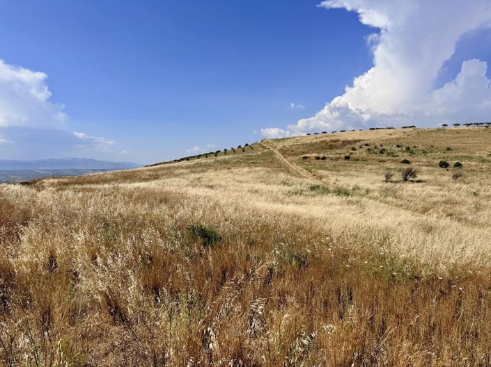Image No.3-Land for sale