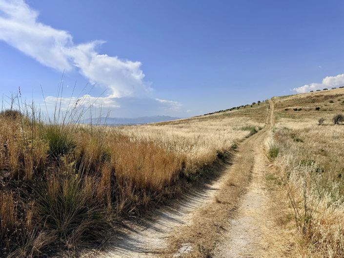 Image No.6-Land for sale