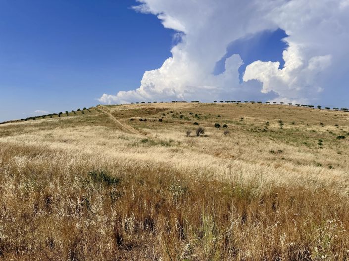Image No.7-Land for sale