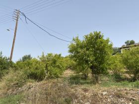 Image No.6-Land for sale