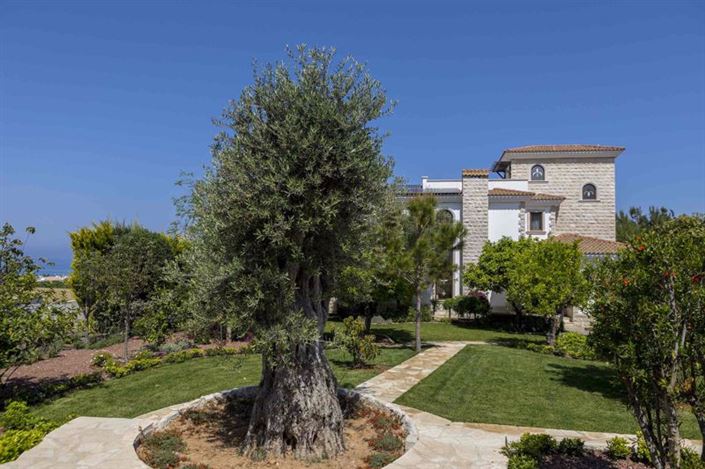 Image No.20-Villa de 5 chambres à vendre à Argaka