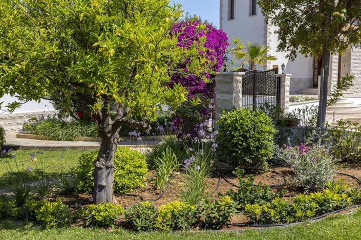 Image No.29-Villa de 5 chambres à vendre à Argaka