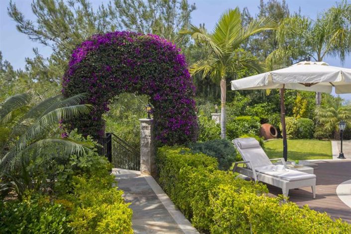 Image No.30-Villa de 5 chambres à vendre à Argaka