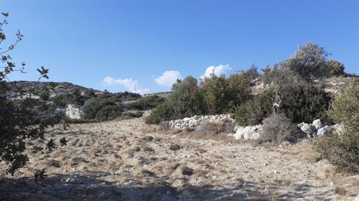 Image No.3-Propriété à vendre à Agios Tychonas