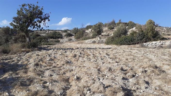 Image No.6-Propriété à vendre à Agios Tychonas