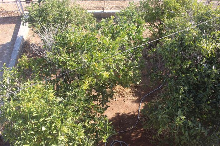 Image No.18-Bungalow de 3 chambres à vendre à Deryneia