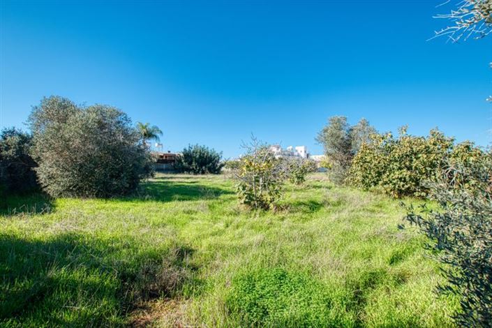 Image No.5-Bungalow de 3 chambres à vendre à Deryneia