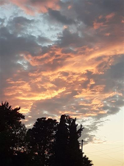 Image No.23-3 Bed Villa for sale