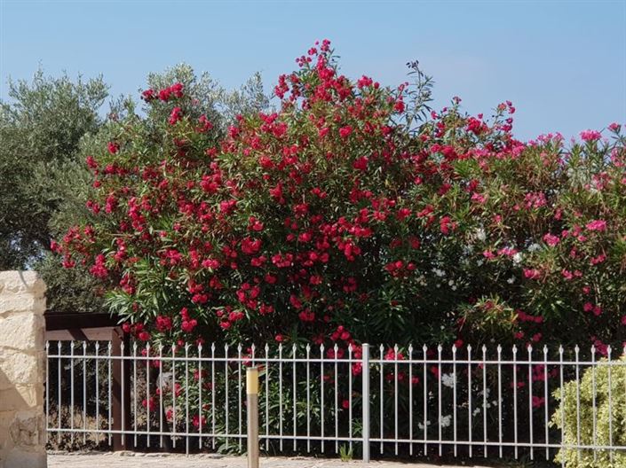 Image No.46-Villa de 3 chambres à vendre à Sea Caves