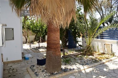 front-garden