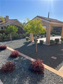 image12