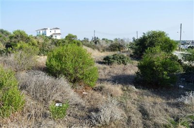 plot-centre-b