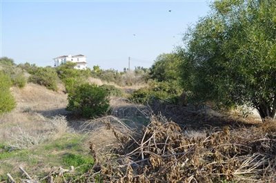 plot-from-left-a