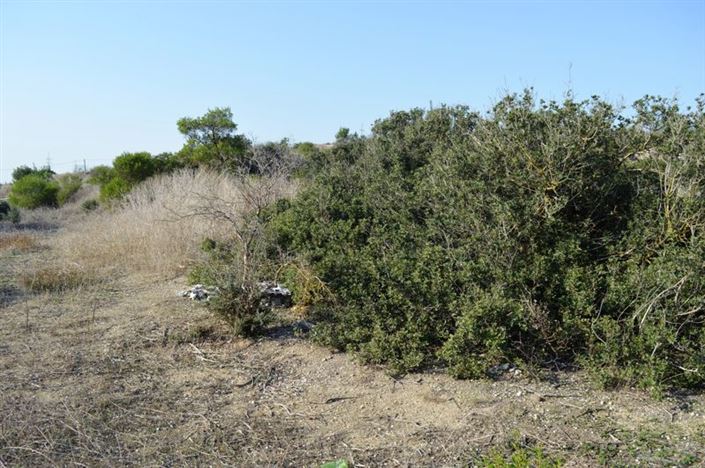 Image No.8-Property for sale