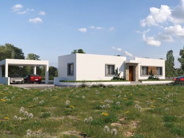 final-daniella-cam-6-copy