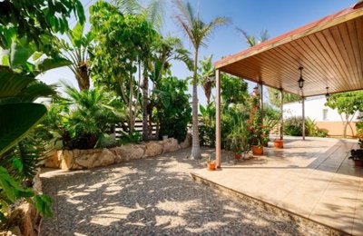 front-garden