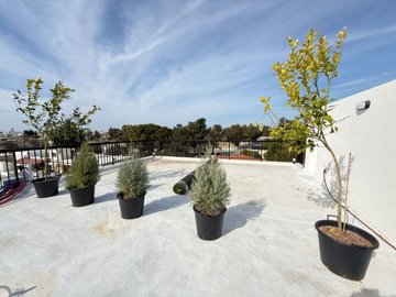 roof-terrace