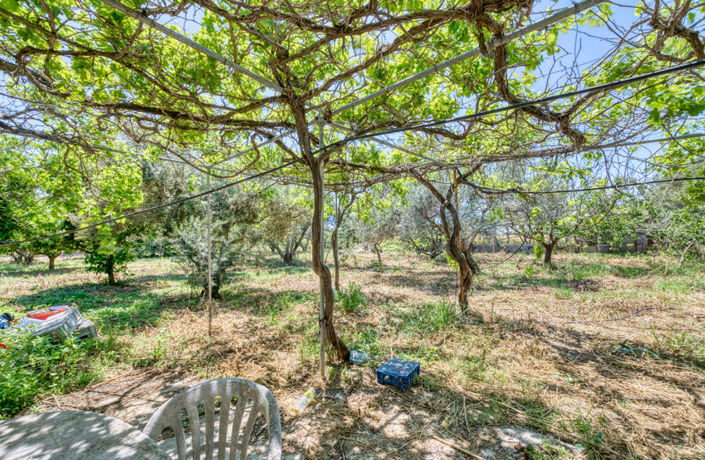 Image No.39-5 Bed Villa for sale