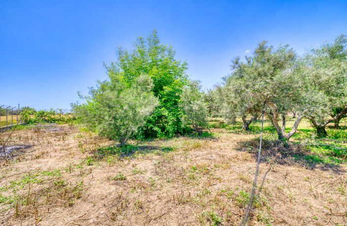Image No.40-5 Bed Villa for sale