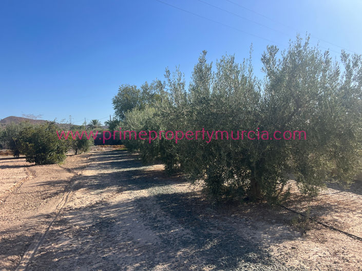 Image No.10-Maison de campagne de 4 chambres à vendre à Totana