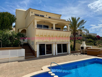 919-detached-villa-for-sale-in-isla-plana-191
