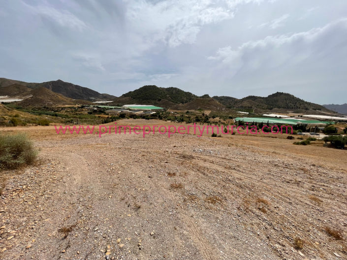 Image No.30-4 Bed Country House for sale