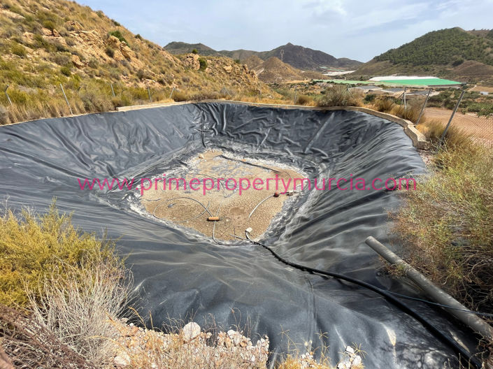 Image No.31-4 Bed Country House for sale